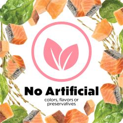 no artificial flavors