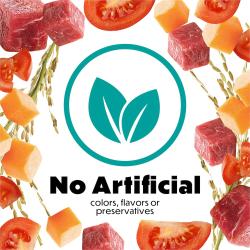 no artificial flavors
