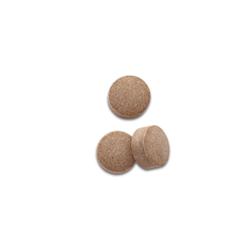 Pro Plan Veterinary Supplements FortiFlora Canine Health Supplement chewable tablet.