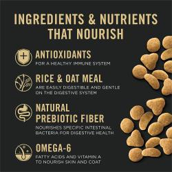 El alimento seco para gatos Purina Pro Plan Piel Sensible y Estómago Sensible está elaborado con antioxidantes y fibra prebiótica.