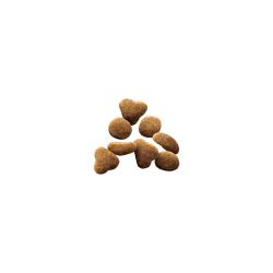Purina Pro Plan Sensitive Skin and Stomach Lamb and Rice dry cat food kibble.