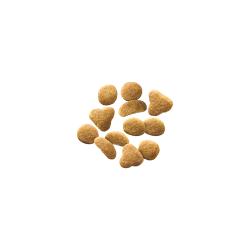 Purina Pro Plan Sensitive Skin and Stomach Turkey and Oat Meal dry cat food kibble.