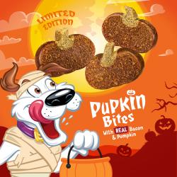 limited edition pumpkin bites made with real pumpkin