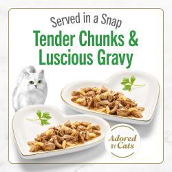 tender chunks & luscious gravy