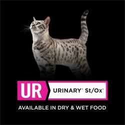 Pro Plan Veterinary Diets UR Urinary St/Ox cat food is available in wet and dry food formulas