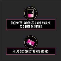 Pro Plan Veterinary Diets UR Urinary St/Ox cat food helps dissolve struvite stones