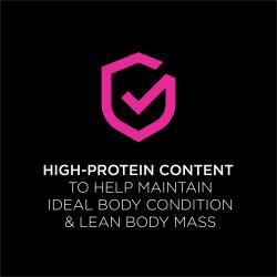 Pro Plan Veterinary Diets UR Urinary St/Ox cat food is high protein to help maintain ideal body condition and lean mass