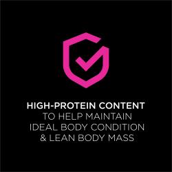 Pro Plan Veterinary Diets UR Urinary St/Ox cat food is high protein to help maintain ideal body condition and lean mass