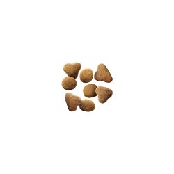 A pile of bite size pieces of Pro Plan Adult Indoor Hairball turkey dry cat food kibble.