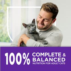 Un hombre sonríe mientras mira hacia abajo a un gato gris que sostiene. Un banner púrpura debajo de ellos dice "100% nutrición completa y equilibrada para gatos adultos"