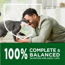 A grey and white cat lovingly rubs its head against its owner's face. A green banner shows text that reads "100% complete and balanced nutrition for adult cats"