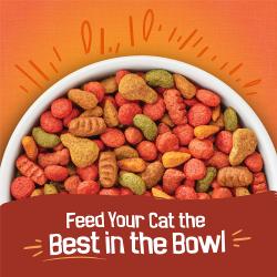 Friskies Tender & Crunchy croquetas en un tazón. Alimenta a tu gato con lo mejor en el tazón.