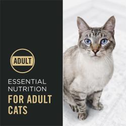 El alimento seco para gatos Pro Plan Complete Essentials ofrece nutrición esencial para gatos adultos.