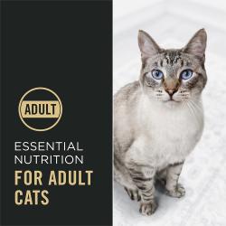 Pro Plan Complete Essentials dry cat food is essential nutrition for adult cats.