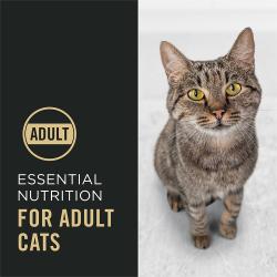 El alimento seco para gatos Pro Plan Complete Essentials es nutrición esencial para gatos adultos.