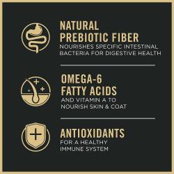 Pro Plan Complete Essentials dry cat food contains natural prebiotic fiber omega 6 fatty acids and antioxidants.