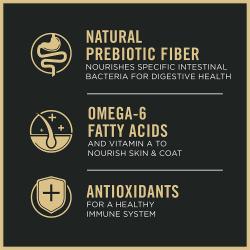 El alimento seco para gatos Pro Plan Complete Essentials contiene fibra prebiótica natural, ácidos grasos omega‑6 y antioxidantes.