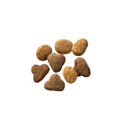 Pro Plan Complete Essentials chicken and rice dry cat food kibble.