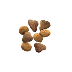 Pro Plan Complete Essentials salmon and rice dry cat food kibble.