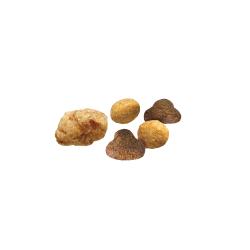 Pro Plan Complete Essentials Shredded Blend chicken and rice adult dry cat food kibble.