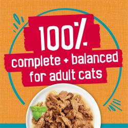 100 por ciento completo y equilibrado para gatos adultos