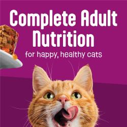 El alimento húmedo para gatos Friskies Glazed and Infuzed está elaborado con nutrición completa para gatos adultos, para gatos felices y saludables.