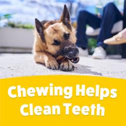 chewing helps clean teeth