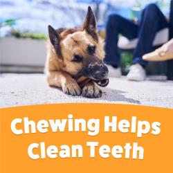 Chewing helps clean teeth.