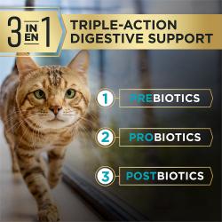 Pro Plan AdvantEDGE cat food is made with Triple Action Digestive Support including prebiotics probiotics and postbiotics.