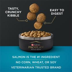 Pro Plan AdvantEDGE está elaborado con croquetas crujientes y sabrosas que son fáciles de digerir y con salmón como el ingrediente número 1.