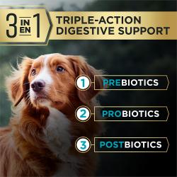El alimento para perros Pro Plan AdvantEDGE está elaborado con soporte digestivo de triple acción que incluye prebióticos, probióticos y postbióticos.