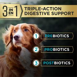 Pro Plan AdvantEDGE dog food is made with Triple Action Digestive Support including prebiotics probiotics and postbiotics.
