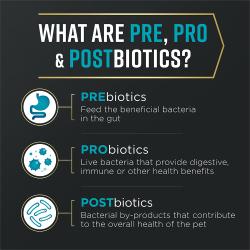 Una explicación de qué son los prebióticos, los probióticos y los postbióticos, y por qué están incluidos en el alimento Pro Plan AdvantEDGE.
