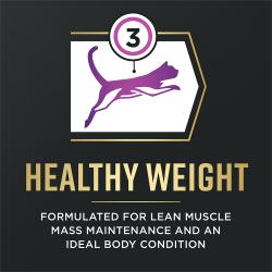 Pro Plan AdvantEDGE está formulado para el mantenimiento de masa muscular magra y para promover una condición corporal ideal en los gatos.