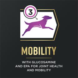 El alimento para perros Pro Plan AdvantEDGE está elaborado con glucosamina y EPA para la salud de las articulaciones y la movilidad.