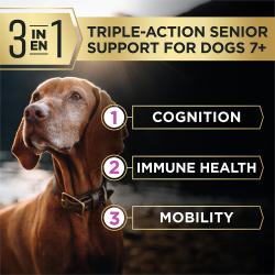 Pro Plan AdvantEDGE dog food is made with Triple Action Senior Support to promote immune health mobility and cognition