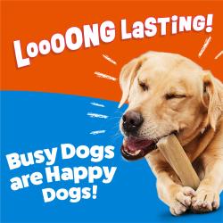 Long lasting. Busy Dogs are Happy Dogs.