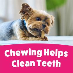 Chewing helps clean teeth