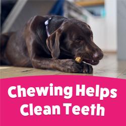 Chewing helps clean Teeth.