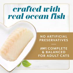 Fancy Feast Gems Mousse Paté with Ocean Fish and a Halo of Savory Gravy Wet Cat Food