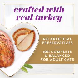 Fancy Feast Gems Mousse Paté with Turkey and a Halo of Savory Gravy Wet Cat Food