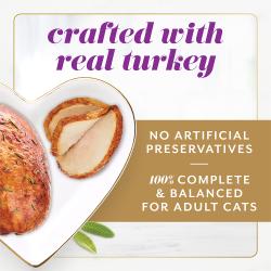 Fancy Feast Gems Mousse Paté with Turkey and a Halo of Savory Gravy Wet Cat Food