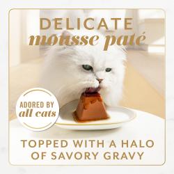 Fancy Feast Gems Mousse Paté Colección de Pavo y Pollo Alimento Húmedo para Gatos Paquete Variado