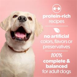 Protein-rich recipes. No artificial colors, flavors, or preservatives. 100% complete and balanced for adults dogs.