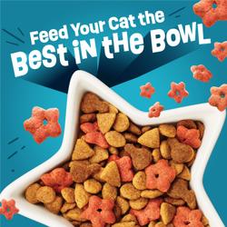 Close-up of Friskies Party Pack’d dry cat food in a white star-shaped bowl with Party Mix Stars pieces.