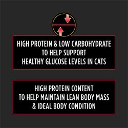 El alimento seco para gatos Pro Plan Veterinary Diets DM Dietetic Management contiene alto nivel de proteína para ayudar a mantener una condición corporal ideal.