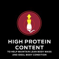 Pro Plan Veterinary Diets DM Dietetic Management wet cat food contains high protein to maintain ideal cat body condition.