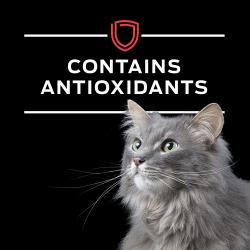 El alimento húmedo para gatos Pro Plan Veterinary Diets DM Manejo Dietético contiene antioxidantes.