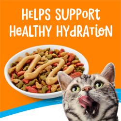 Friskies dry cat food with gravy topping and a cat licking its lips, with text “Helps support healthy hydration” on an orange background.