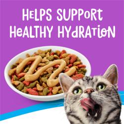 Friskies dry cat food with gravy topping and a cat licking its lips, with text “Helps support healthy hydration” on a purple background.